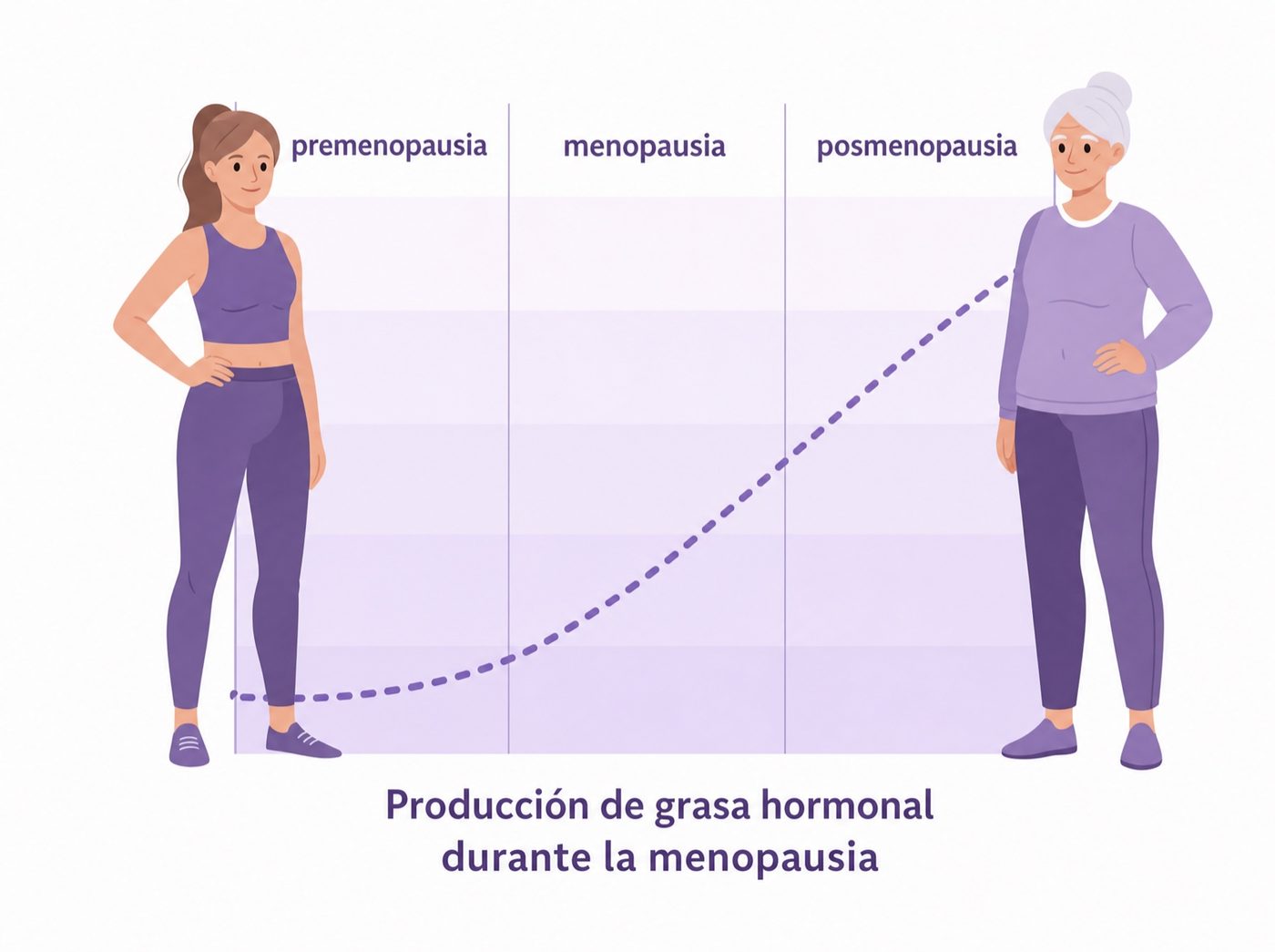 Producción de grasa hormonal durante la premenopausia, menopausia y posmenopausia