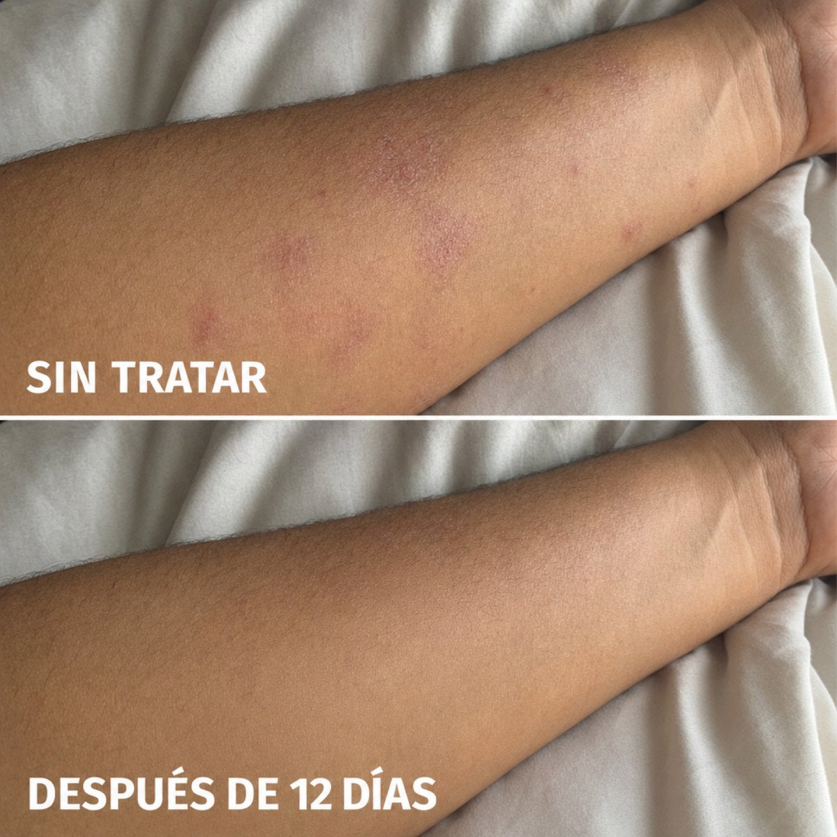 Foto reseña Maria